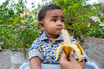 Wall Mural - A child sitting in a garden chair is eating a ripe banana from his mother's hand. Cute 9 months baby boy is crazy for food. Baby eating food. Asian boy eating banana.