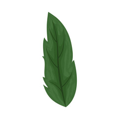 Poster - nature leaf icon