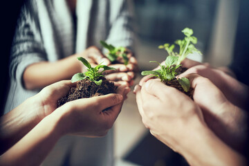 Poster - All things have the potential to grow. Closeup shot of a group of people each holding a plant growing in soil.