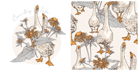 Naklejka na meble Set of print and seamless wallpaper pattern. Gooses group on a herbal Wildflowers background. Textile composition, hand drawn style print. Vector illustration.