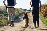Fototapeta Psy - Walking along the crimescene. Rear view shot of two policeman and a dog walking down a rural road.