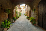 Fototapeta Na drzwi - Buonconvento, medieval city in Siena province