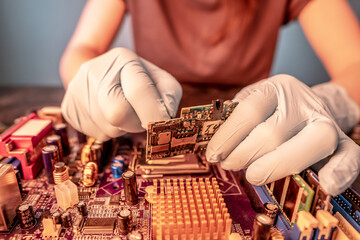 Wall Mural - Engineer's gloved hand holds the chip board on the background of the motherboard. High-tech hardware microelectronics