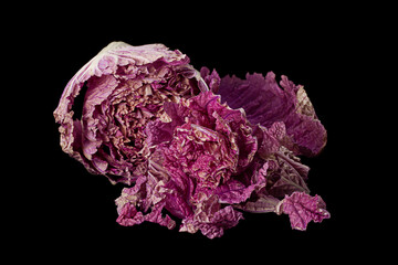 Wall Mural - Violet chinese cabbage on black