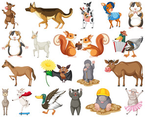 Poster - Set of animal cartoon character