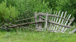 Collapsed village fence in summer on the grass