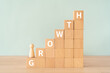© ELUTAS - 成長のイメージ｜「GROWTH」と書かれた積み木と人形