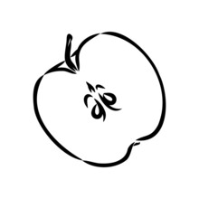 Apple Fruit Vector Illustration. Engraved Organic Food Hand Drawn Sketch Engraving Illustration. Black White Apple Isolated On White Background.