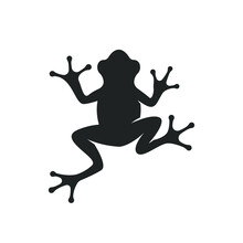 Frog Vector Icon Isolated On White