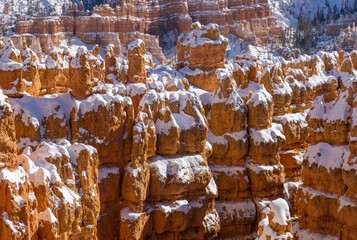 Sticker - Bryce Canyon National Park Utah Winter Landscape