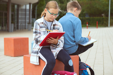 Wall Mural - Male and female classmates studying in the school yard