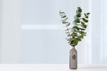 Wall Mural - Natural eucalyptus plant twigs in vintage grey glass bottle on white table