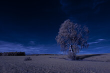 Scenic View Of An Agricultural Field And Trees Under The Blue Sky - Infrared Photography