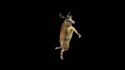 Wall Mural - deer dancing cg fur 3d rendering animal realistic cgi vfx animation loop composition 3d mapping cart