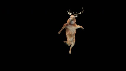 Wall Mural - deer dancing cg fur 3d rendering animal realistic cgi vfx animation loop composition 3d mapping cart