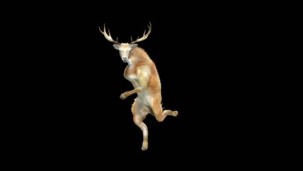 deer dancing cg fur 3d rendering animal realistic cgi vfx animation loop composition 3d mapping cart