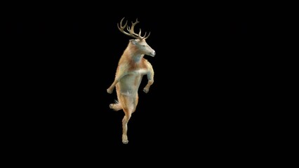 Wall Mural - deer dancing cg fur 3d rendering animal realistic cgi vfx animation loop composition 3d mapping cart