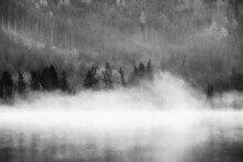 Grayscale Shot Of A Lake Surrounded By Forests In Autumn. Austria