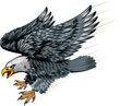 Fighting Bald Eagle - The Bald Eagle very aggressive