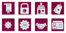Intangible Assets Icons Set .  Intangible Assets Pack Symbol Vector Elements For Infographic Web