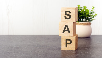 Sticker - letters of the alphabet of SAP on wooden cubes, green plant, white background