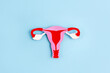 © ClareM - Paper application of the uterus from colored cardboard on blue background. Women's health, gynecology and reproductive system concept. Top view, copy space