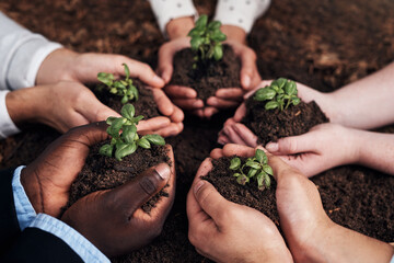 Leinwandbilder - Work together, grow together. Cropped shot of a group of businesspeople holding plants growing out of soil.
