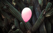 © Ibai Acevedo/Stocksy - Pink balloon surrounded by dangerous cactus