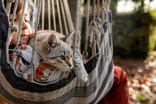 Girl On Hammock With Her Cute Cat At Garden