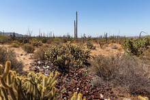 Desert Landscape With Rusty Cans Dumped In The Desert