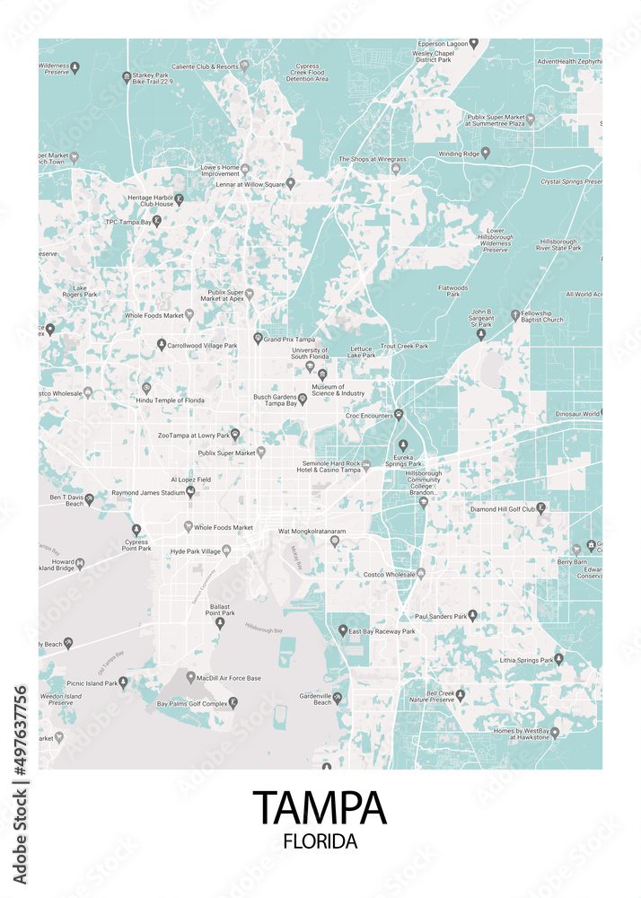 Poster Tampa - Florida map. Road map. Illustration of Tampa - Florida streets. Transportation ...