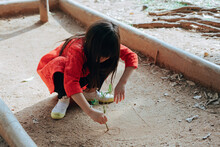Child Draws On The Ground With Twig