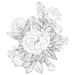 Wall Mural - Bouquet of wild flowers. Composition from botanical elements. Flowers and leaves in line art style. Flower coloring page.