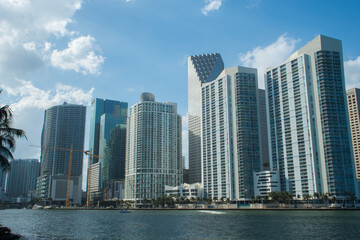 Wall Mural - Sunny South Florida