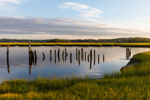 Calm Water Landscape On Marsh With Rotted Dock Pilings 