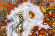 © Marilar Irastorza/Stocksy - Cruentus Agate, Macro