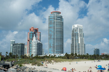 Wall Mural - Sunny South Florida