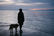 Silhouette Of A Woman With A Dog