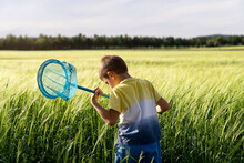 Kid Collecting Butterflies With Net In Field In Summer