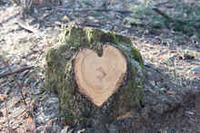 Heart On A Tree