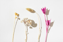 Arrangement Of Dried Flowers On White