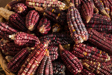Closeup Of To The Texture Of Red Corns Inside A Basket 