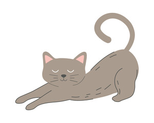  cat flat icon