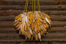 Yellow Corns Hanging From A Rope With A Wood On The Background 