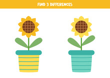 Find Three Differences Between Two Sunflowers In Pot.
