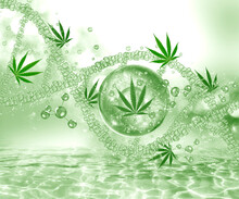 Cannabis Molecule, Cdb Oil