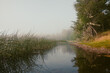 © Justin Mullet/Stocksy - Foggy morning at a lake