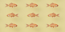 Repeating Patterns: Goldfish