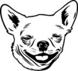 Chihuahua - Funny Dog, Vector File, Cut Stencil for Tshirt