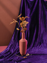 Stylish Composition With Dry Flowers In A Ceramic Vase